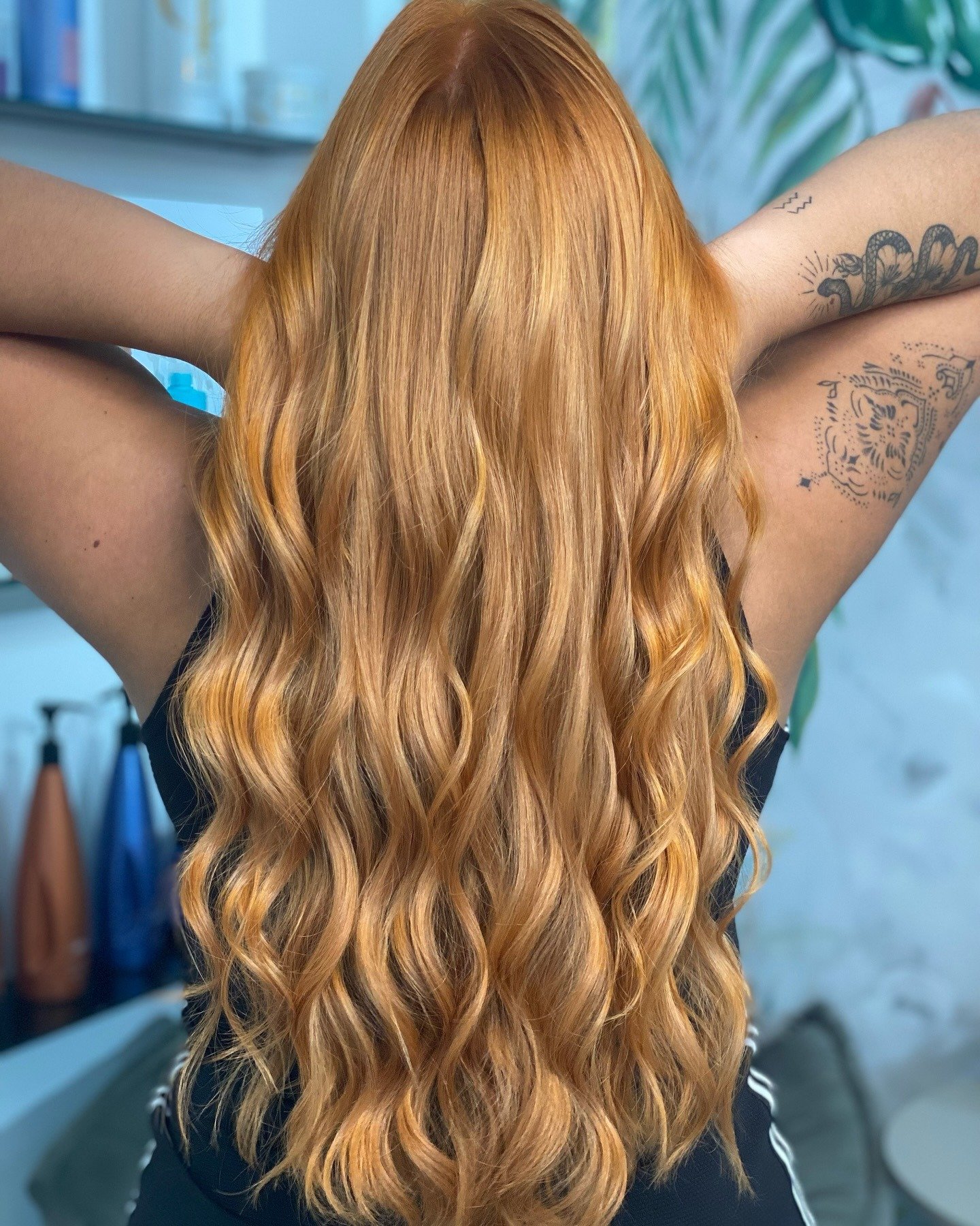 Trabalho Lara Reis