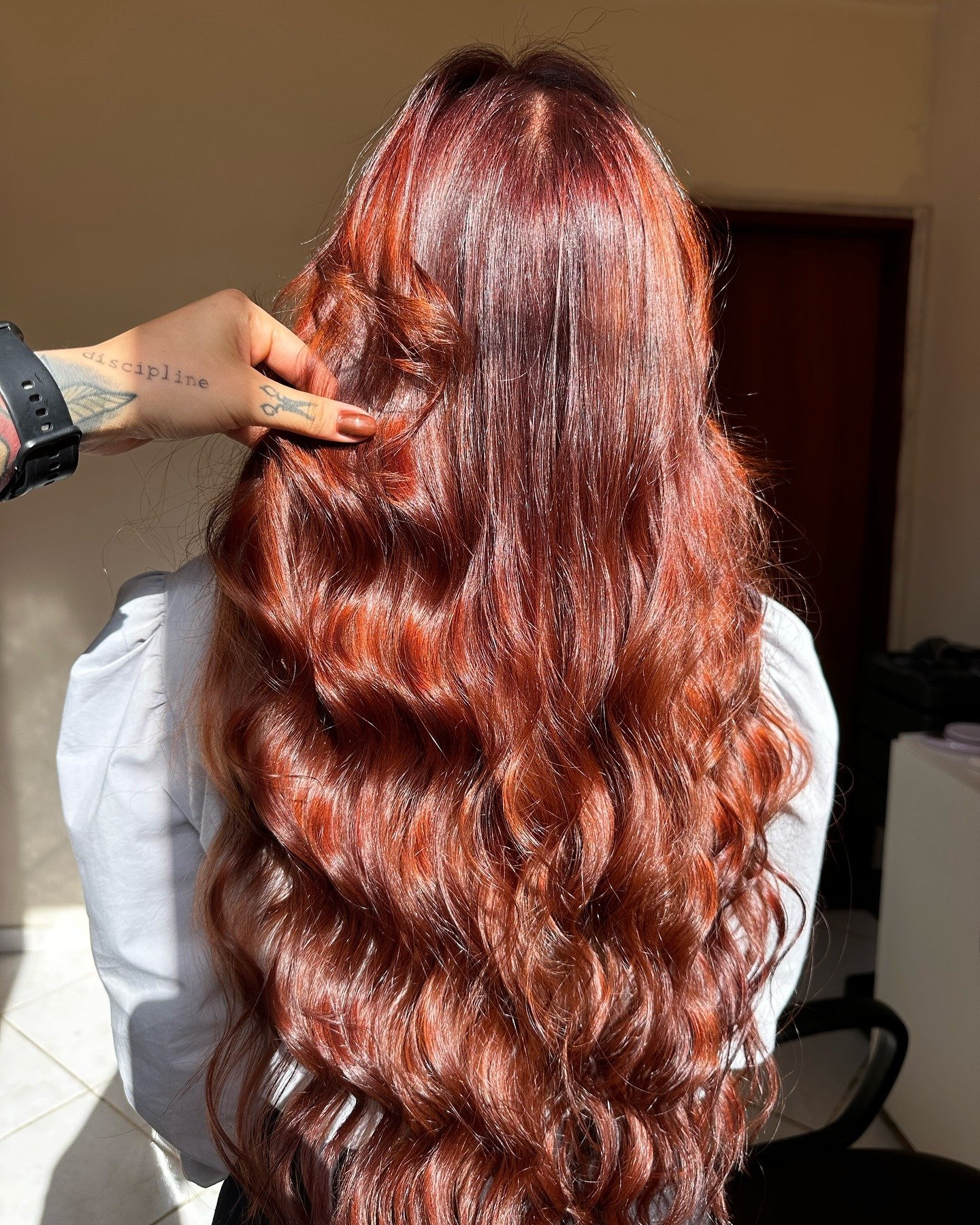 Trabalho Lara Reis